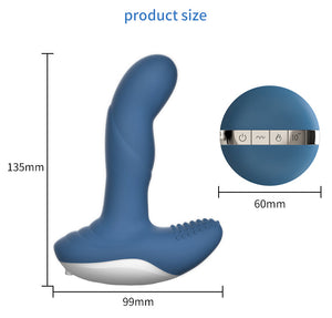 Dual Motors 3 Wiggle & 7 Vibration Prostate Massager Anal Vibrator